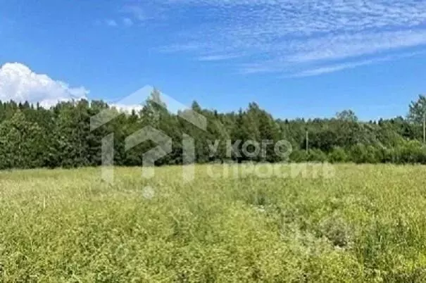 Участок в Ленинградская область, Кингисеппский район, Большелуцкое ... - Фото 1