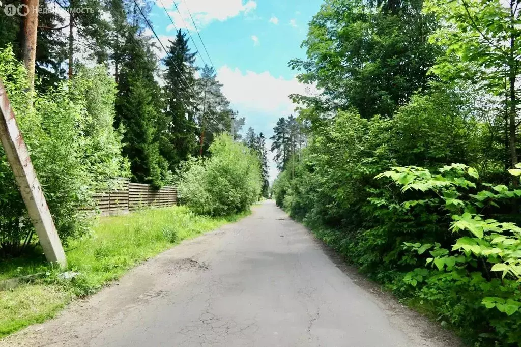 Участок в Всеволожск, Торговый проспект, 252 (12 м) - Фото 1