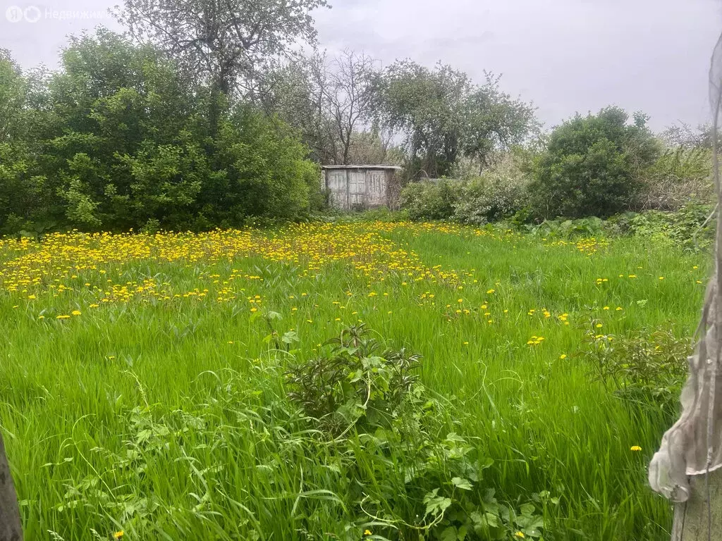 Дом в Челябинск, СНТ Дружба, 4-3344 (10.6 м) - Фото 1