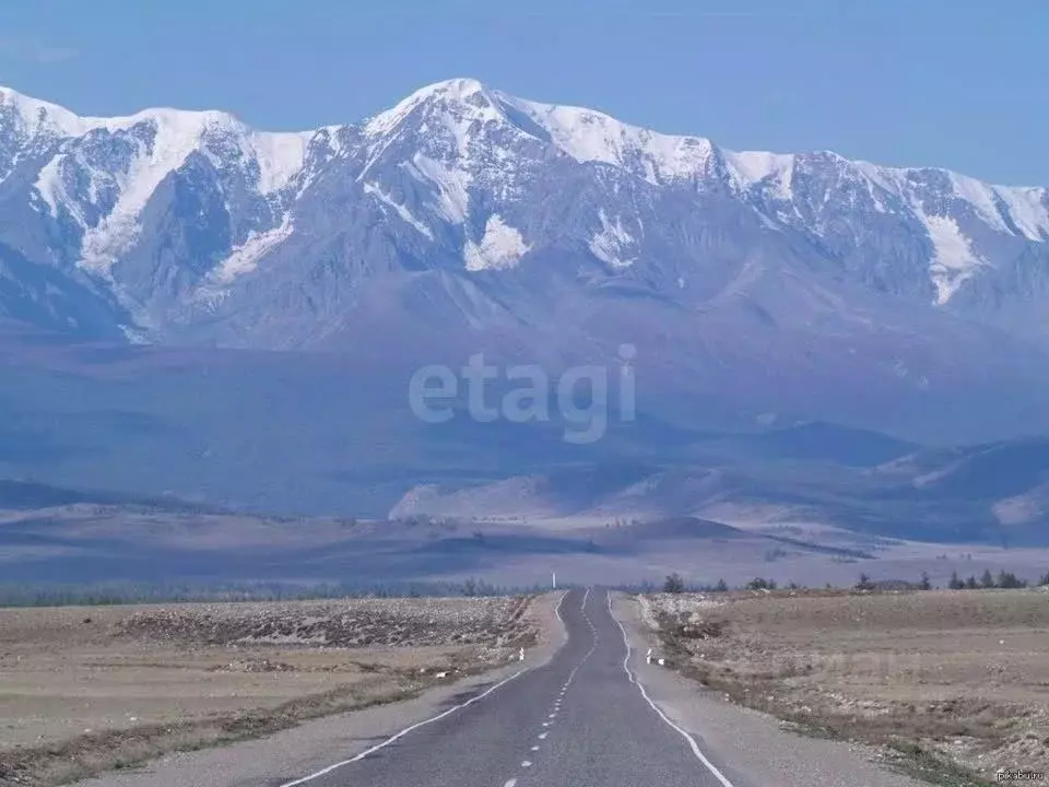 Торговая площадь в Алтай, с. Кош-Агач ул. Гоголя (238 м) - Фото 1