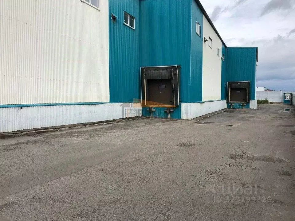 Склад в Московская область, Старая Купавна Богородский городской ... - Фото 2