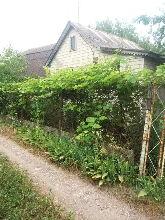 Дом в Белгородская область, Белгородский район, Ериковское с/пос  (24 ... - Фото 1