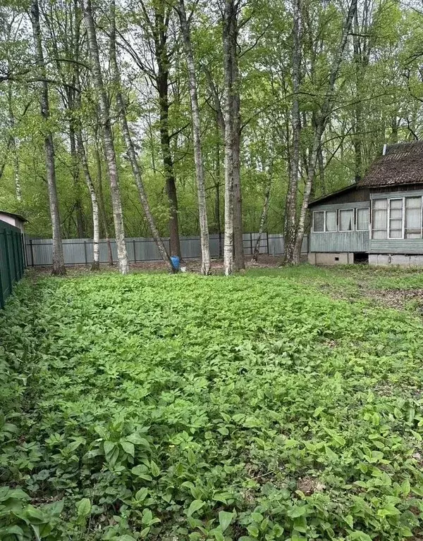 Участок в Московская область, Домодедово городской округ, пос. ... - Фото 1