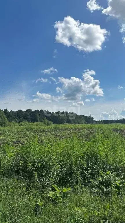 Участок в Томская область, Томский район, с. Батурино  (14.4 сот.) - Фото 0