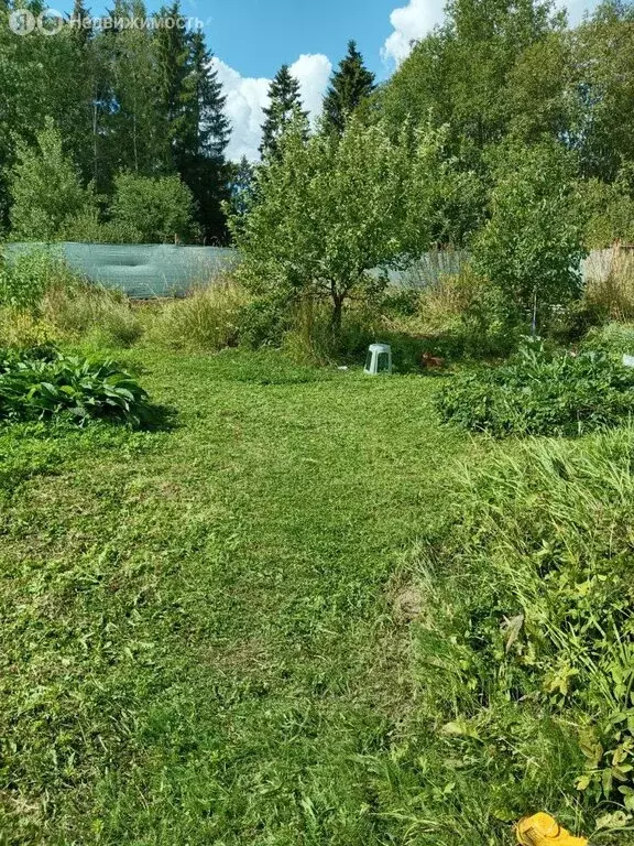 Участок в посёлок Белоостров, Железнодорожная улица (4 м) - Фото 2