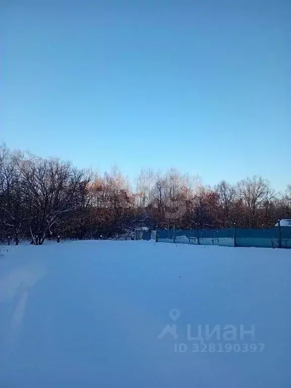 Участок в Амурская область, Благовещенск Медик 1-й Горбольницы СТ,  ... - Фото 2