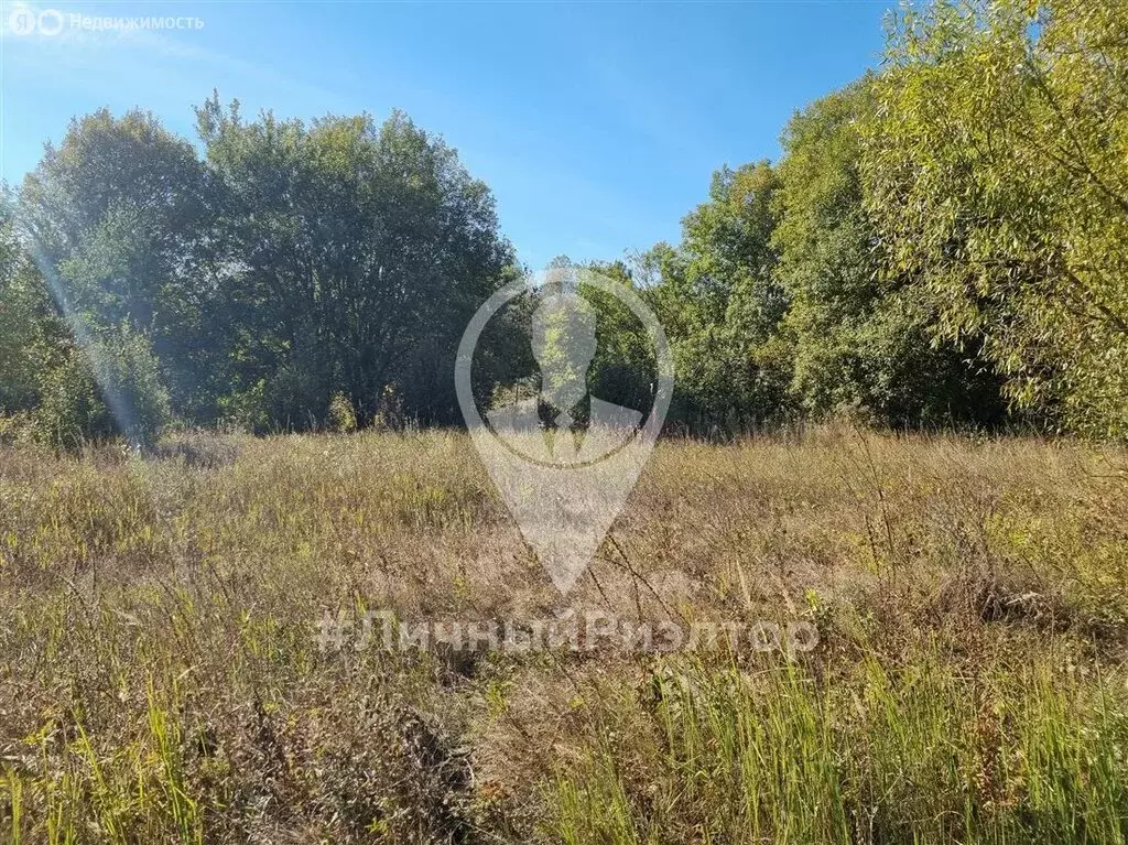 Участок в деревня Добрая Слобода, 6 (31 м) - Фото 1