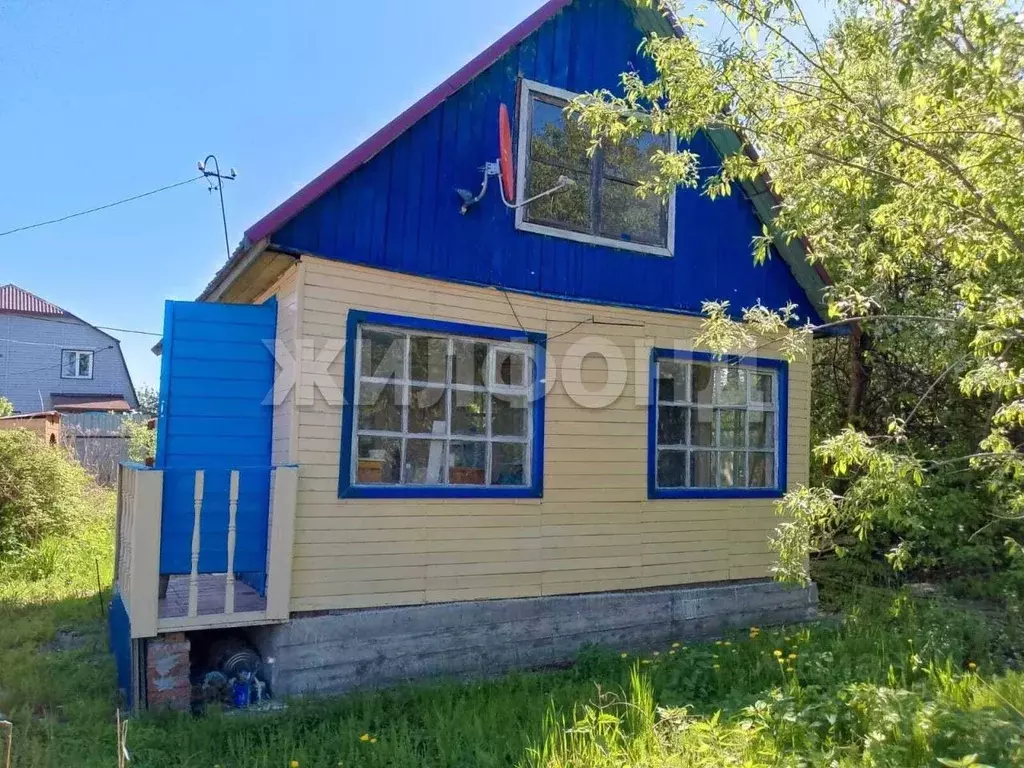 Дом в Новосибирская область, Новосибирск Инской узел СНТ,  (42 м) - Фото 1