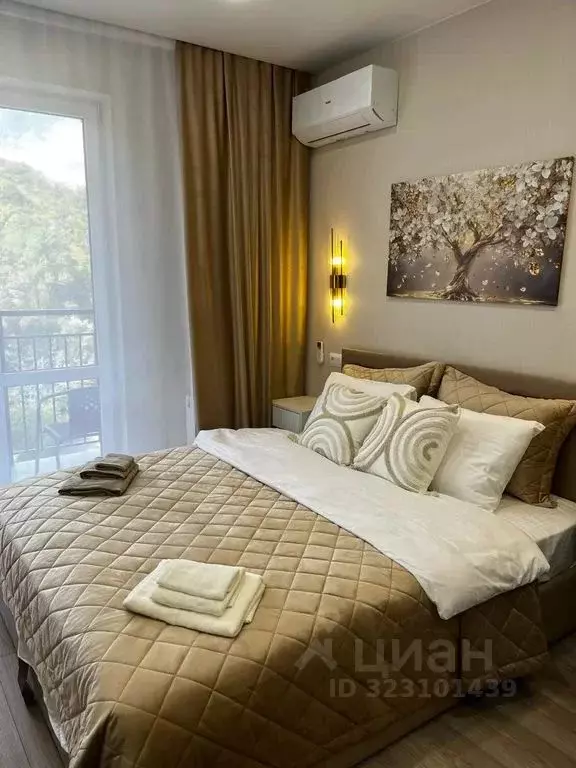 Студия Краснодарский край, Сочи ул. Искры, 88к8 (27.0 м) - Фото 2