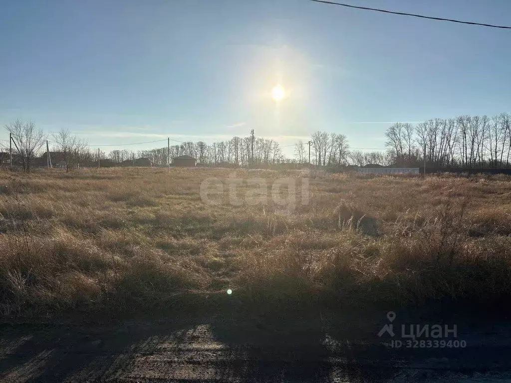 Участок в Ульяновская область, Ульяновск городской округ, с. Лаишевка  ... - Фото 2