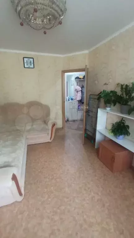 3-к. квартира, 54,9 м, 1/5 эт. - Фото 1
