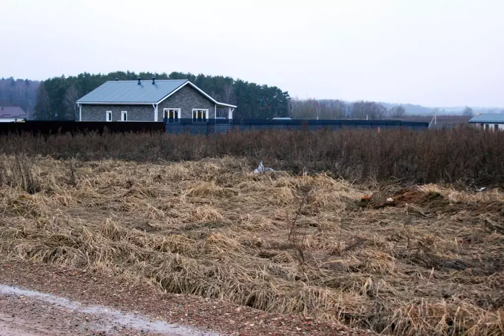 Участок в Московская область, Домодедово городской округ, с. Успенское ... - Фото 1