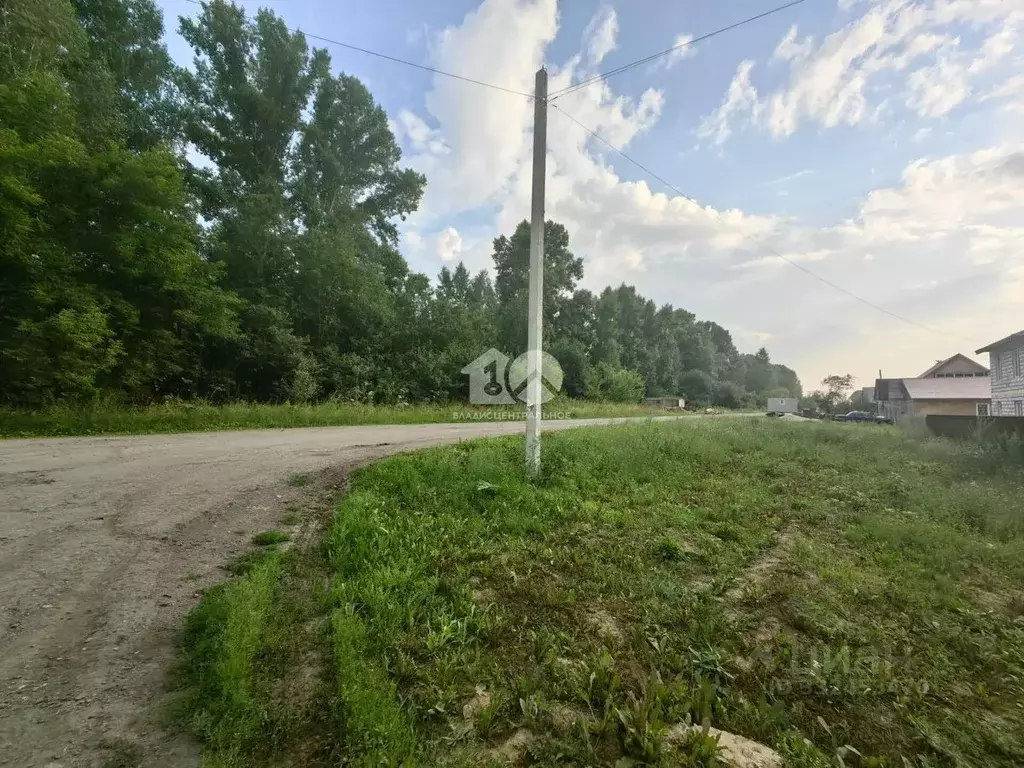 Дом в Новосибирская область, Мошковский район, с. Сокур ... - Фото 2