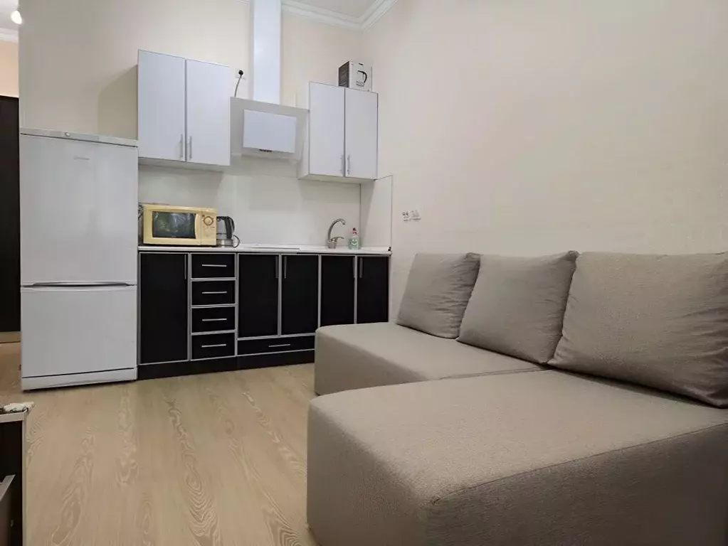 Студия Краснодарский край, Сочи ул. Просвещения, 118/2 (24.0 м) - Фото 1