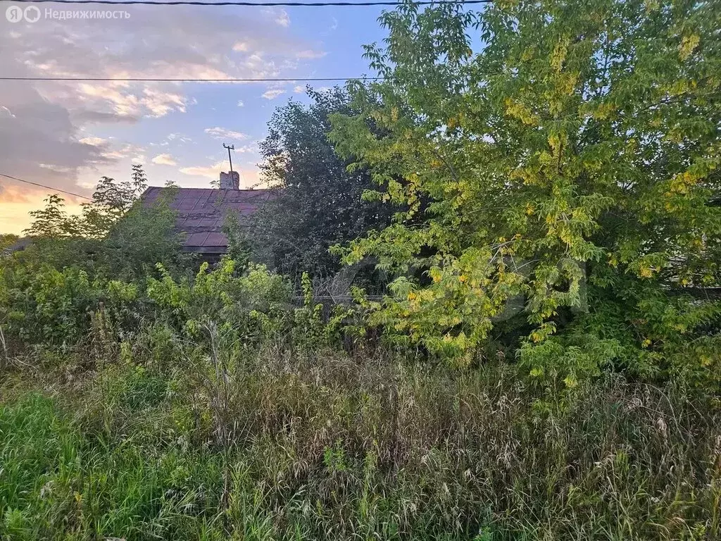 Участок в Тюменский район, деревня Ушакова (21 м) - Фото 0