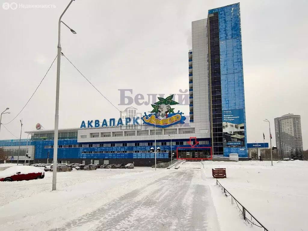 Помещение свободного назначения (610 м) - Фото 1