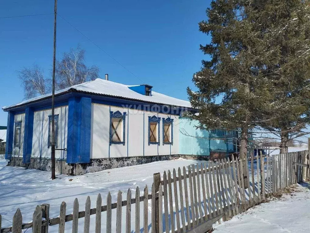 Дом в Алтайский край, Топчихинский район, с. Чистюнька Заозерная ул. ... - Фото 0