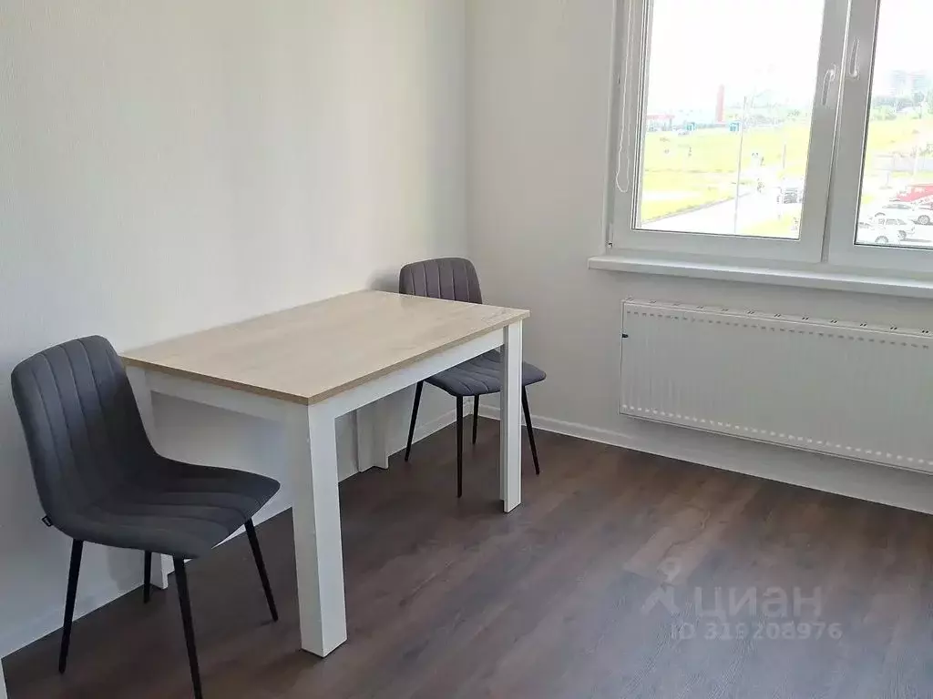 Студия Санкт-Петербург дор. Муринская, 31к3 (27.0 м) - Фото 1