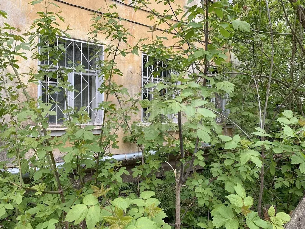 1-к. квартира, 29,6 м, 1/3 эт. - Фото 1