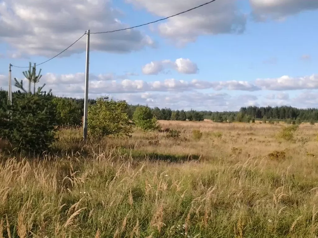 Участок в Московская область, Орехово-Зуевский городской округ, д. ... - Фото 0