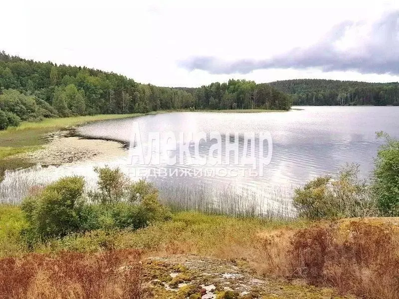 Участок в Карелия, Сортавальский муниципальный округ, пос. Реускула  ... - Фото 1