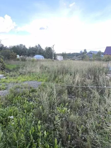 Участок в Московская область, Чехов муниципальный округ, с. Шарапово ... - Фото 2