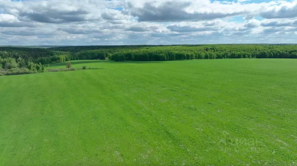 Участок в Московская область, Ступино городской округ, с. Старое  ... - Фото 1