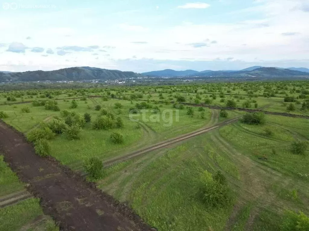 Участок в Майминский район, село Подгорное (15.7 м) - Фото 1