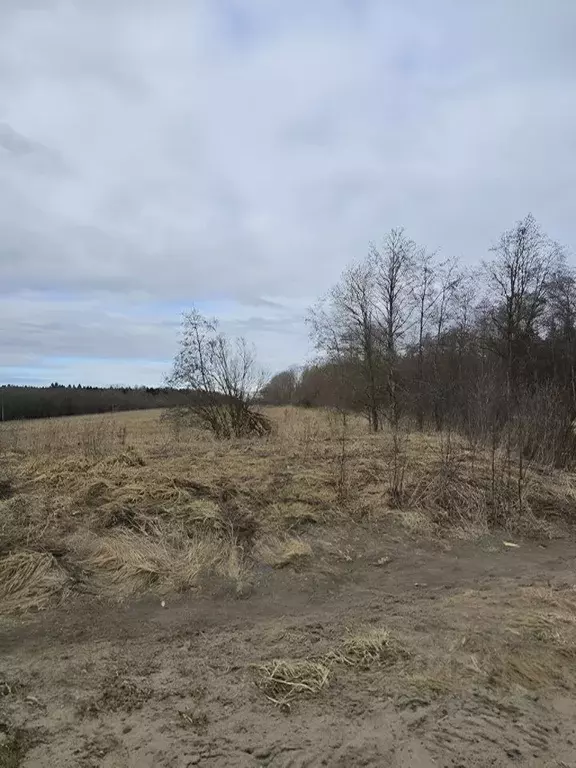 Участок в Ленинградская область, Волхов Виковщина мкр,  (56.0 сот.) - Фото 1