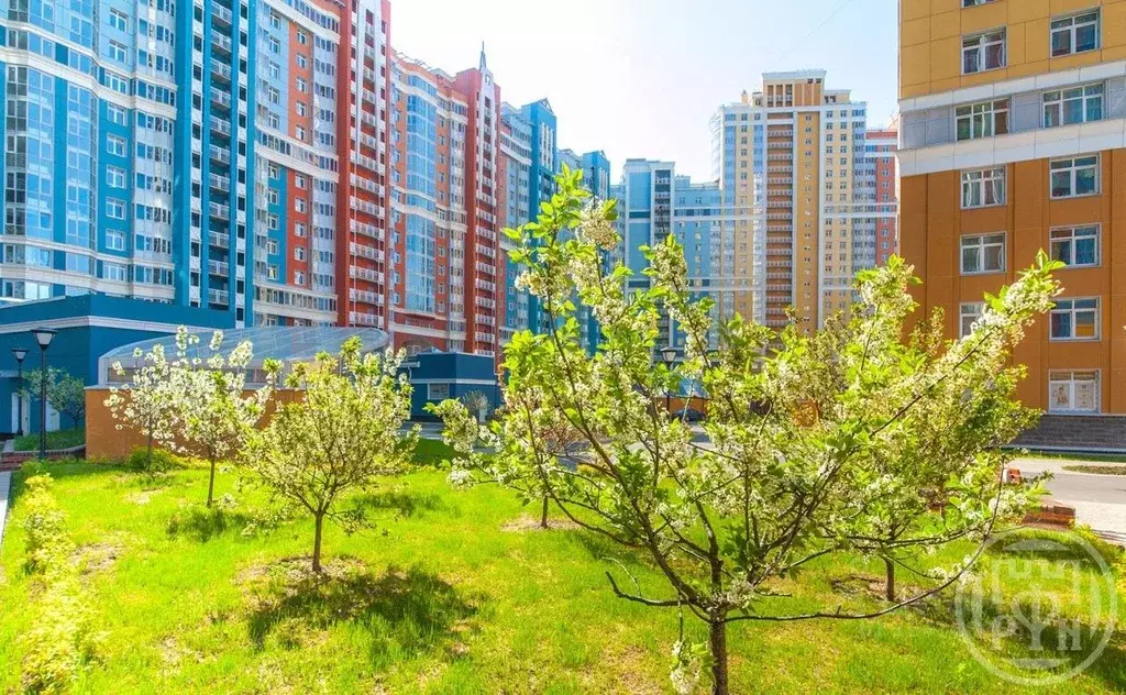 3-к кв. Санкт-Петербург просп. Просвещения, 43 (122.45 м) - Фото 1