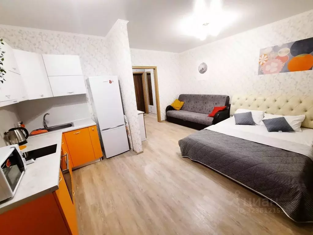 1-к кв. Тюменская область, Тюмень ул. Тимофея Чаркова, 79 (30.0 м) - Фото 1