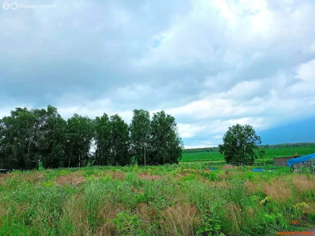Участок в Домодедово, КП Новое Косино, 190 (12.81 м) - Фото 0
