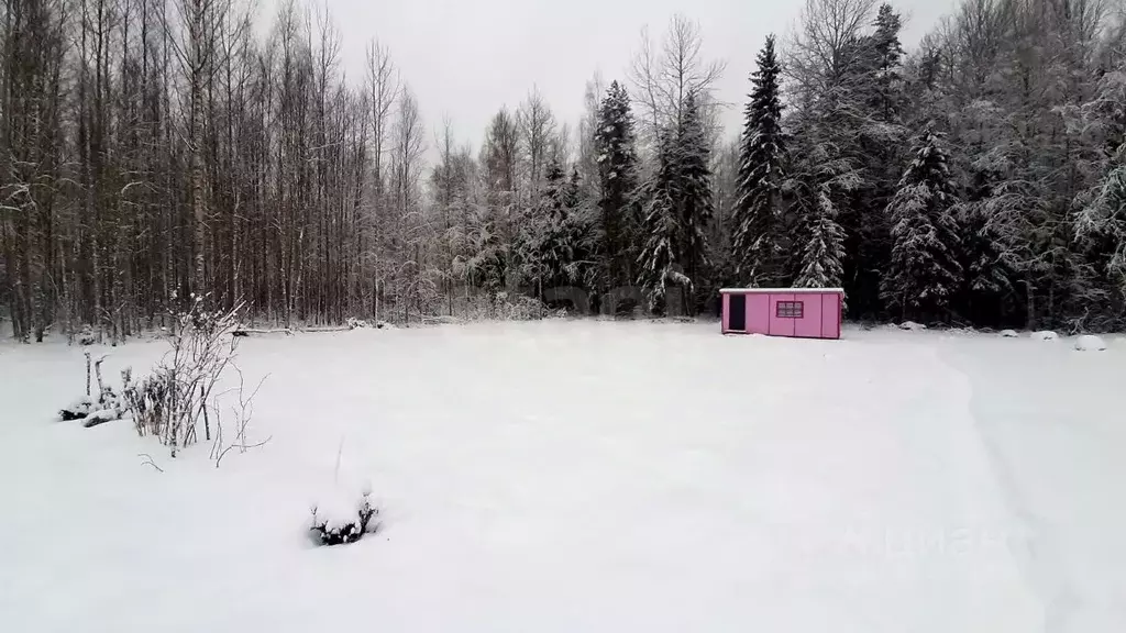 Участок в Ленинградская область, Киришский район, Будогощское ... - Фото 1