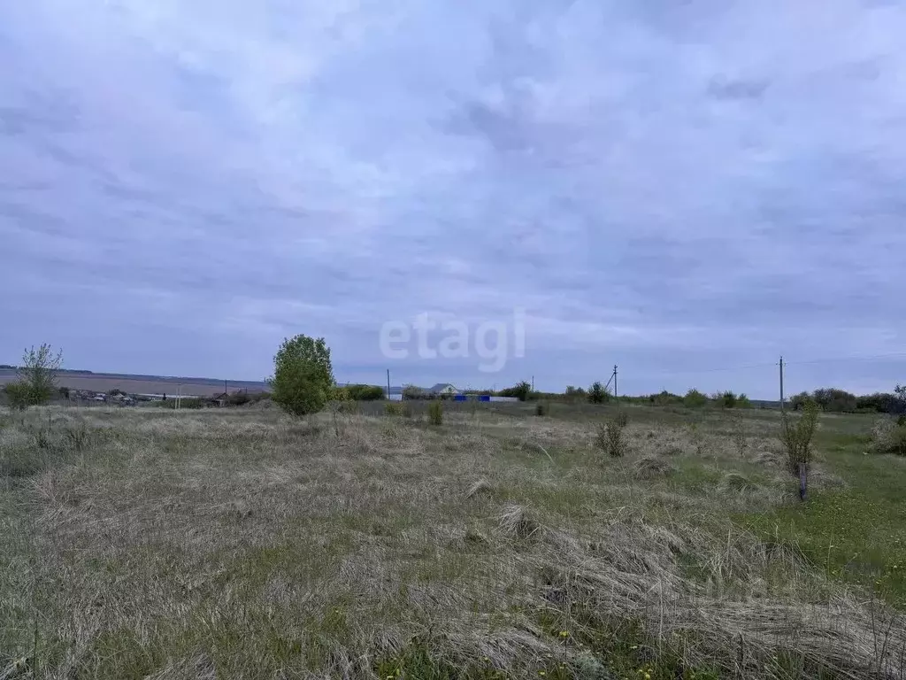 Участок в Мордовия, Большеберезниковский район, с. Марьяновка ул. ... - Фото 0