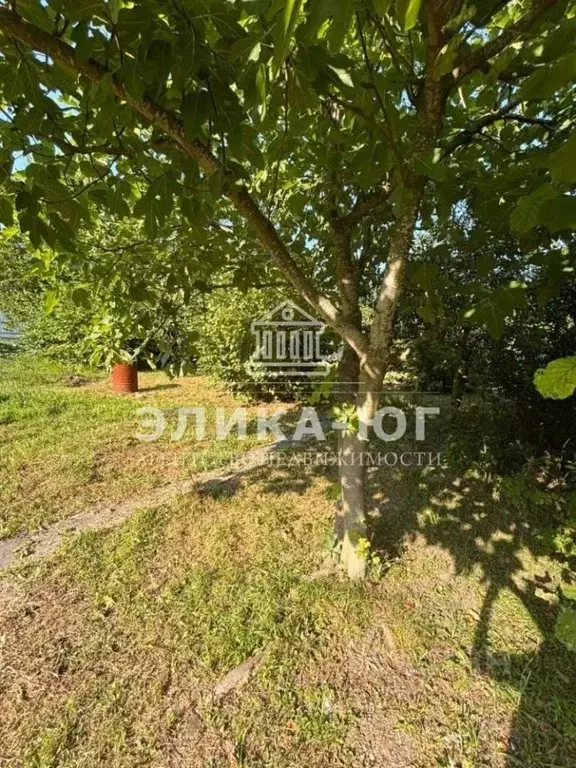 Участок в Краснодарский край, Туапсинский муниципальный округ, с. ... - Фото 2