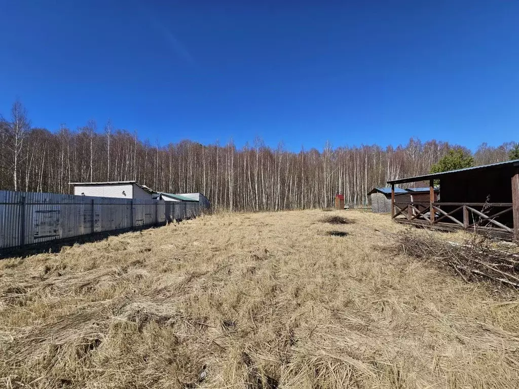 Участок в Московская область, Ступино городской округ, Щит СНТ ул. ... - Фото 2