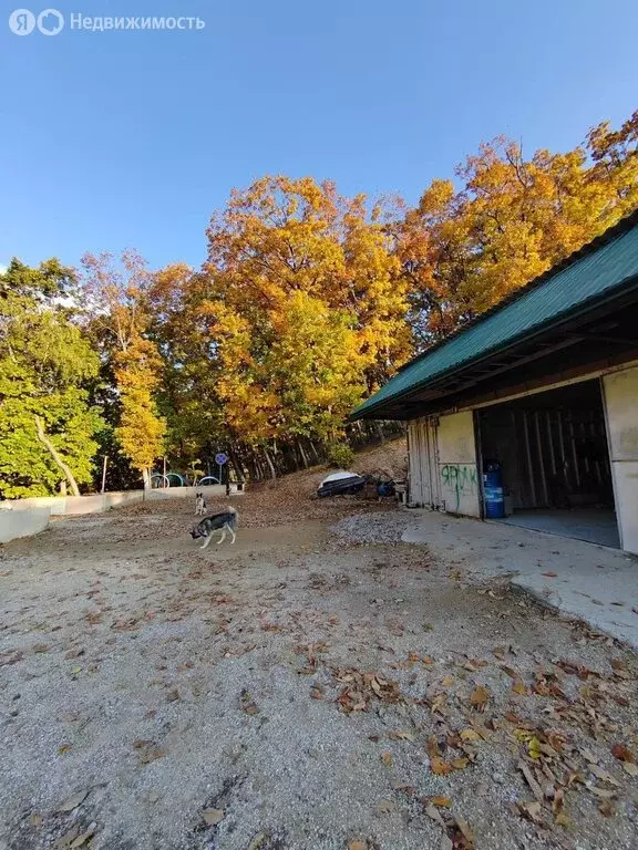 Дом в село Владимиро-Александровское, Светлая улица, 22 (150 м) - Фото 2