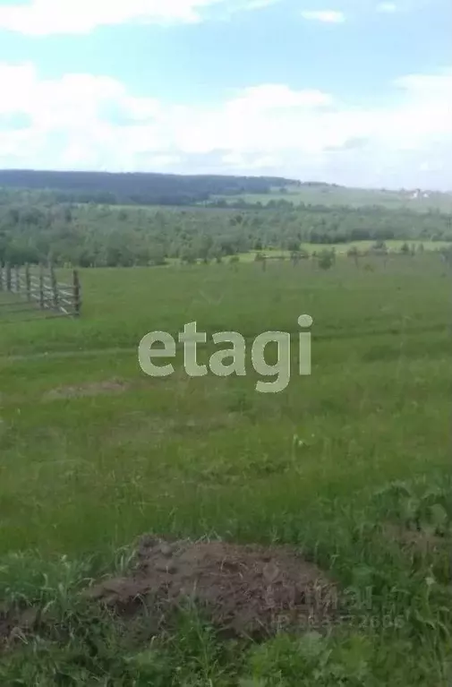 Участок в Башкортостан, Гафурийский район, Красноусольский сельсовет, ... - Фото 1