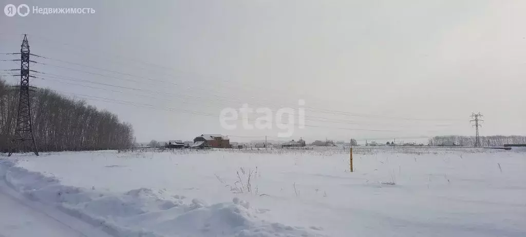 Участок в Чишминский район, село Енгалышево (14.96 м) - Фото 2