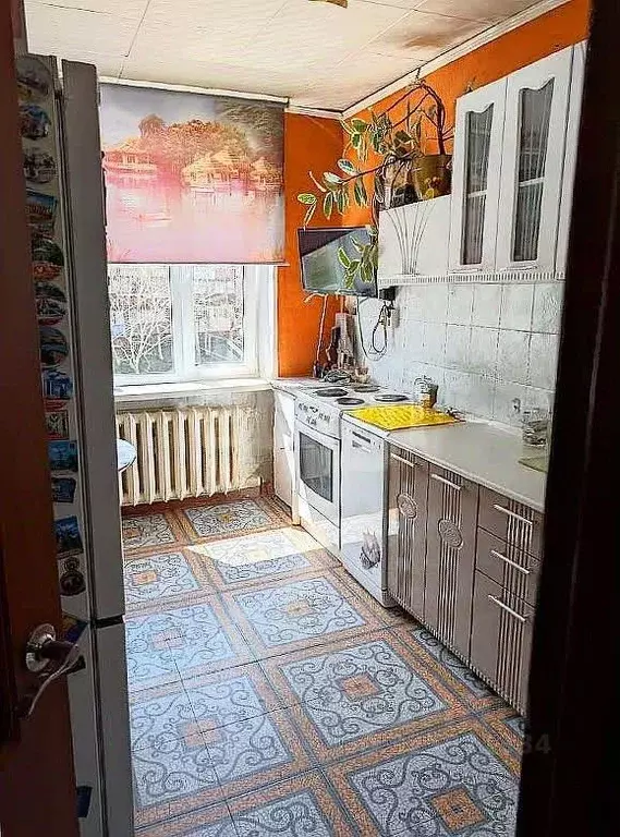 3-к кв. Камчатский край, Петропавловск-Камчатский ул. Академика ... - Фото 1