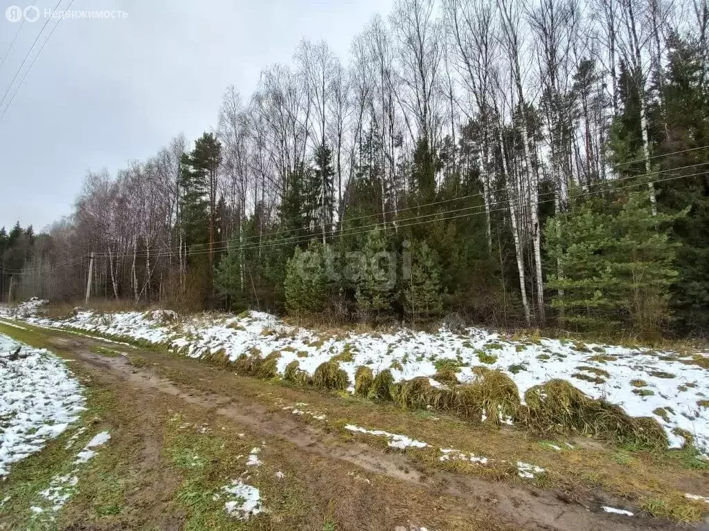 Дом в Туношенское сельское поселение, деревня Заборное (154 м) - Фото 1