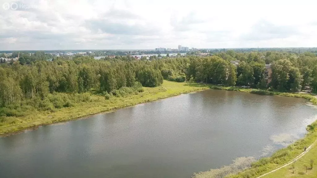 1-комнатная квартира: посёлок Металлострой, Центральная улица, 19к3 ... - Фото 1