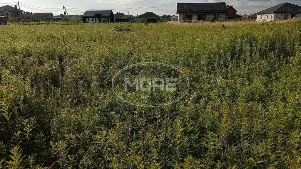 Участок в Калининградская область, Гурьевский муниципальный округ, ... - Фото 1
