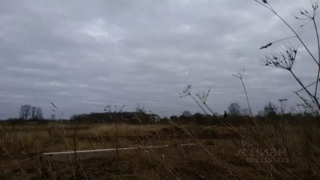 Участок в Новгородская область, Новгородский район, д. Захарьино  ... - Фото 1