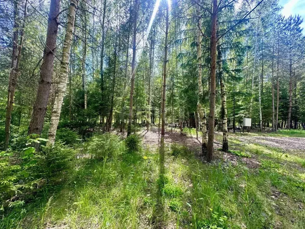 Участок в Московская область, Ступино городской округ, Шелково Форест ... - Фото 2