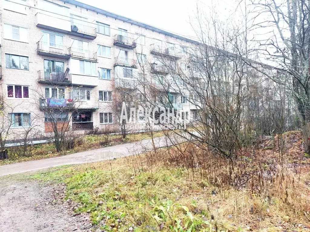 1-к кв. Ленинградская область, Приозерский район, Кузнечное пгт ул. ... - Фото 2