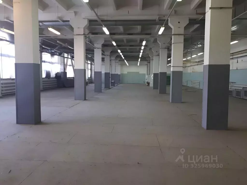 Помещение свободного назначения в Новосибирская область, Новосибирск ... - Фото 1