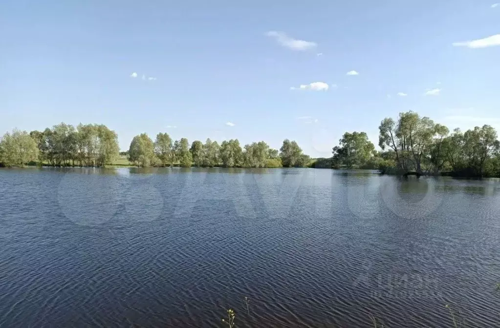 Участок в Пензенская область, Шемышейский район, с. Синодское  (2120.0 ... - Фото 0