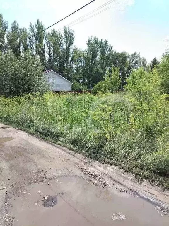 Участок в Новая Усмань, Каштановая улица (10 м) - Фото 1
