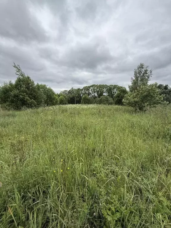 Участок, 10 сот., 0 - Фото 1